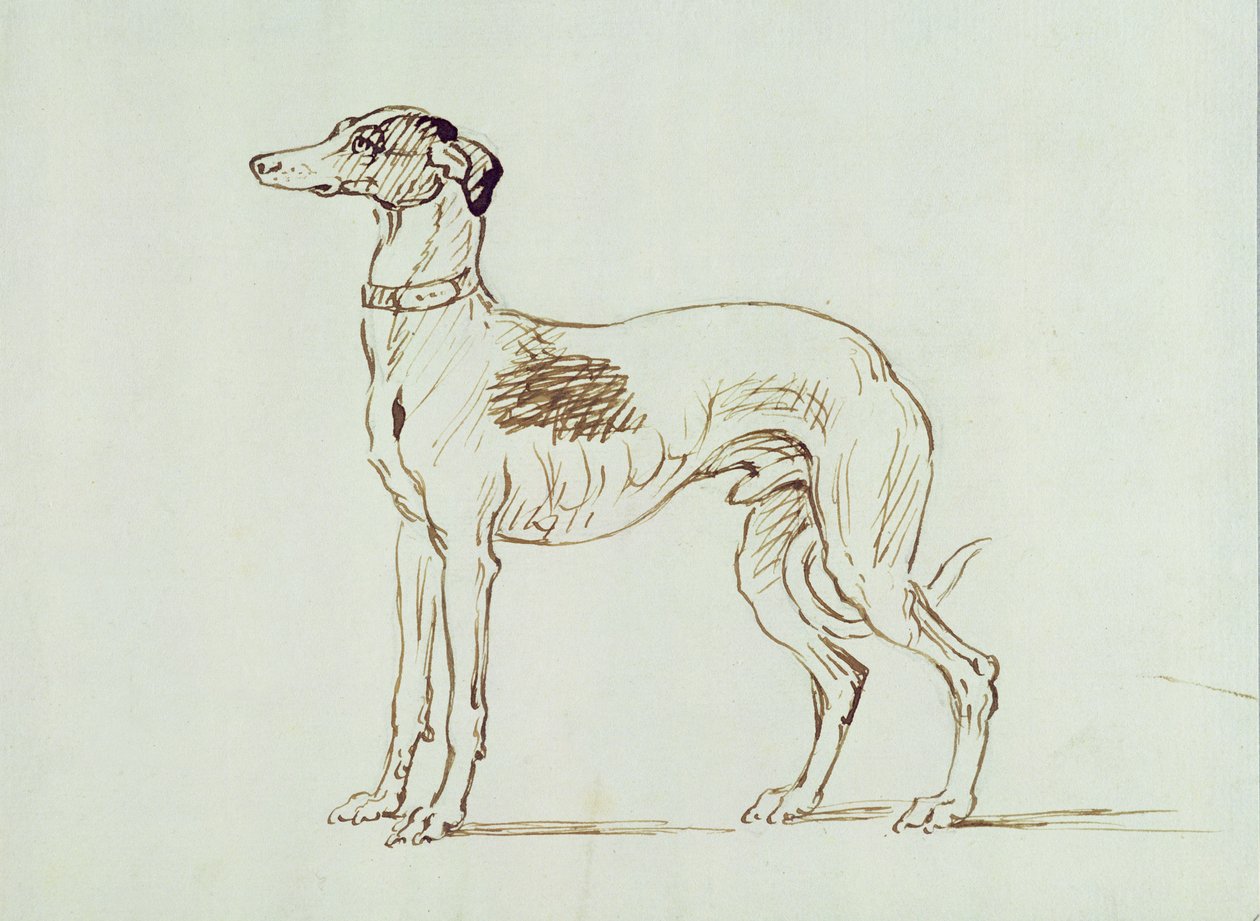 Greyhound, Tváří v tvář vlevo od James Seymour