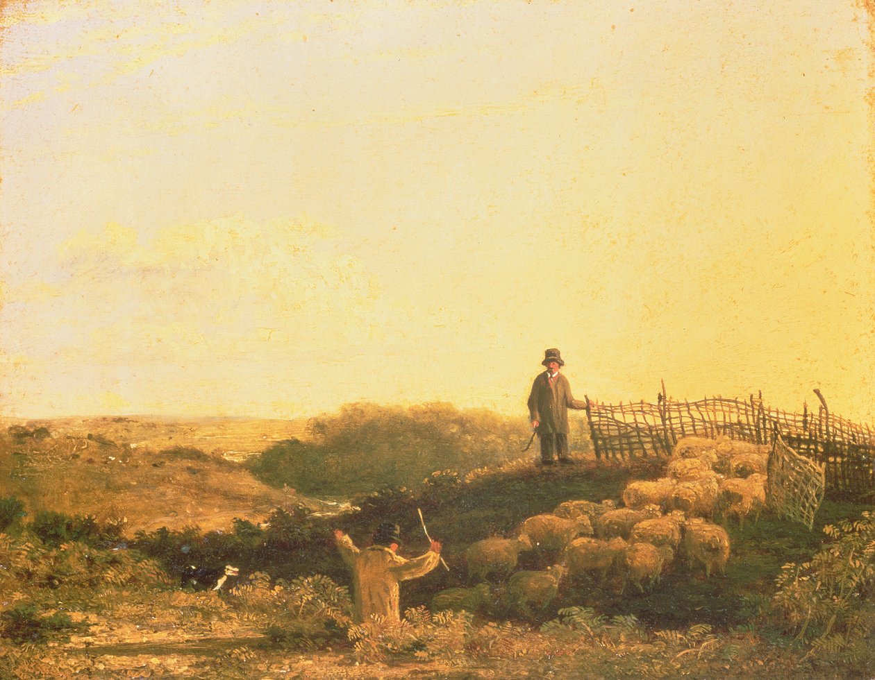 Penning the Flock od James Stark
