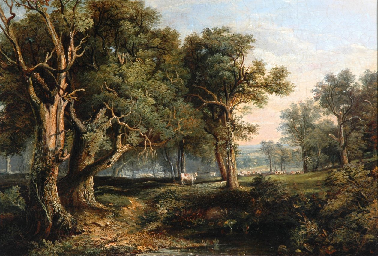 Lesní scéna od James Stark