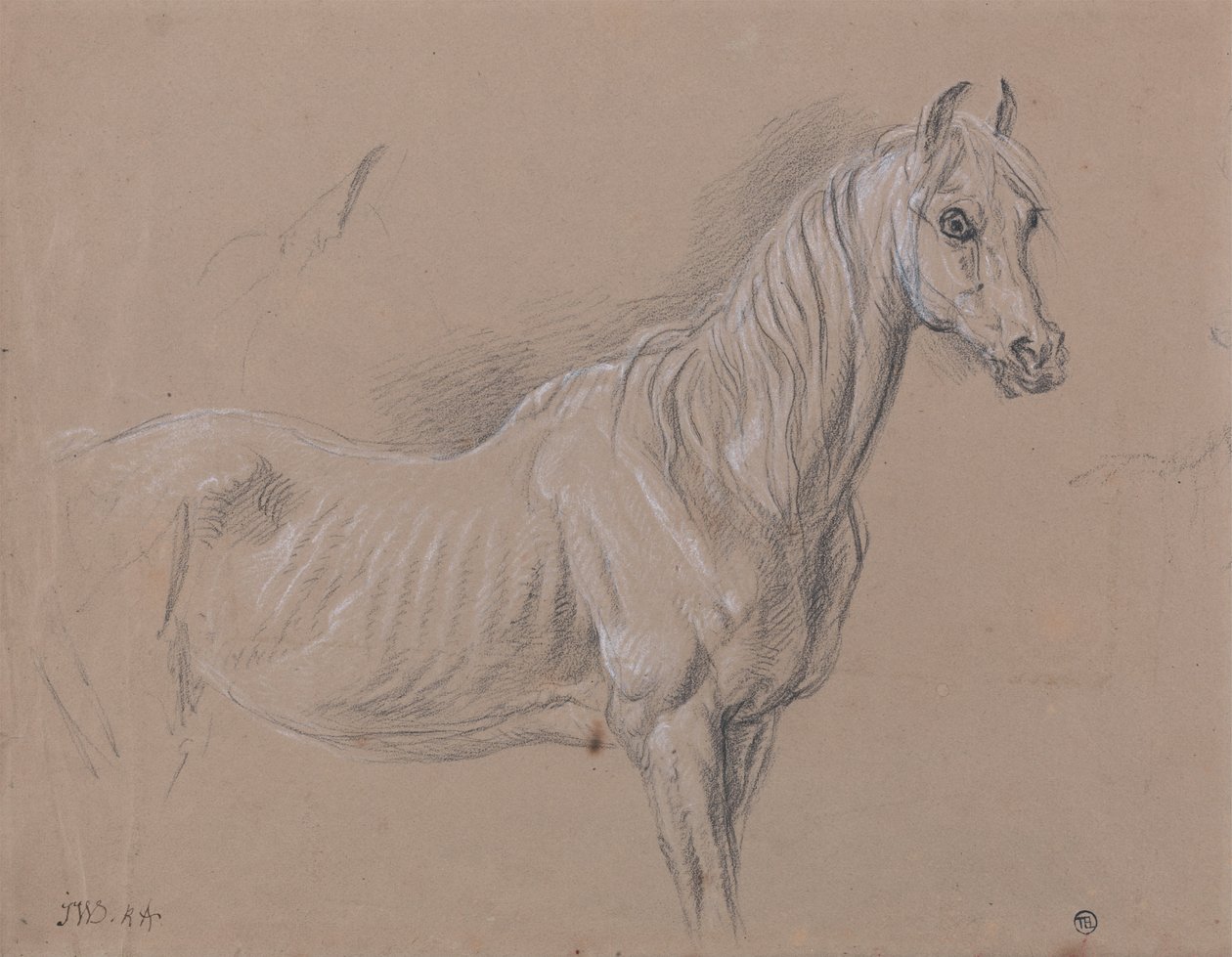 Kobyla - pravděpodobně studie pro LAmour de Cheval, datováno 1827, v Tate Gallery od James Ward