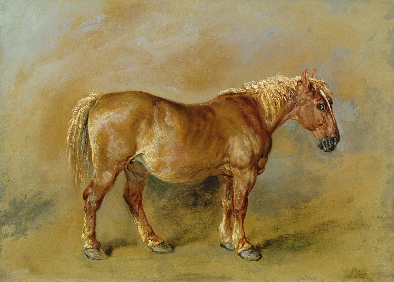 Suffolk Punch (olej na papíře položený na plátně) od James Ward