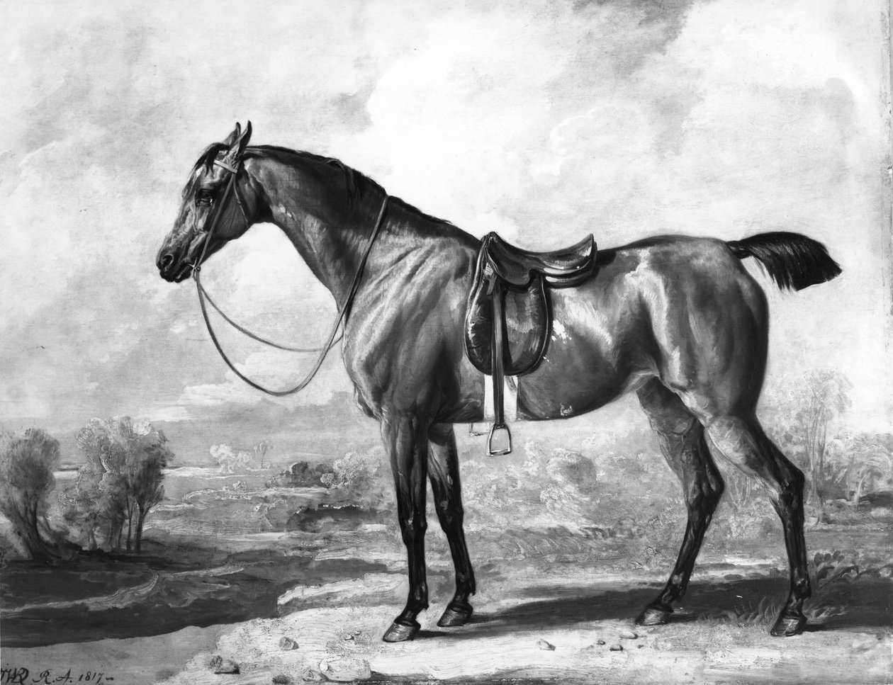 Bay Hunter od James Ward