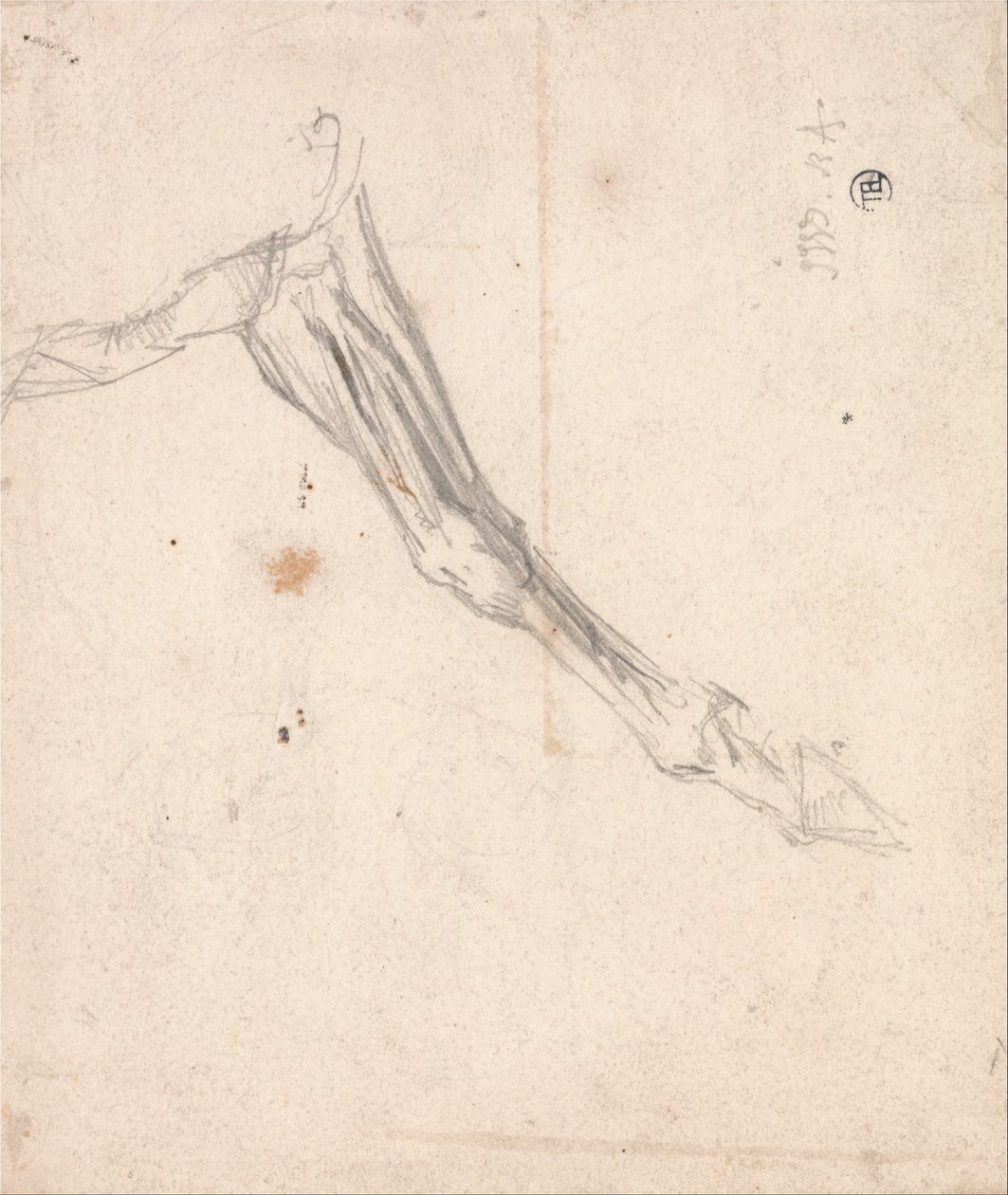 Horses Foreleg- možná studie pro LAmour de Cheval, datovaná 1827, v galerii Tate od James Ward