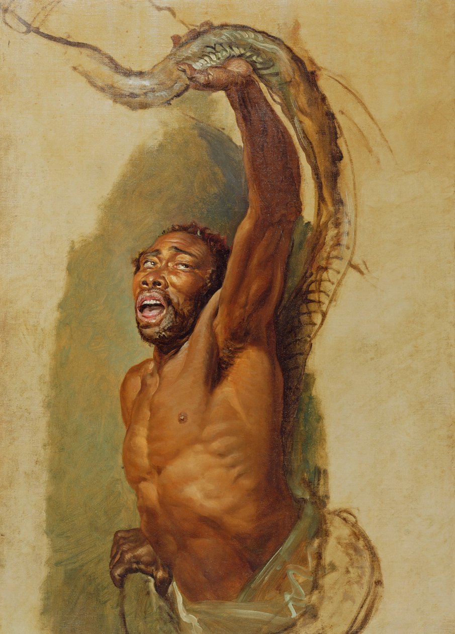 Muž zápasící s hroznýšem, studie „Liboya Serpent Constricting its Prey“, kolem roku 1803 od James Ward