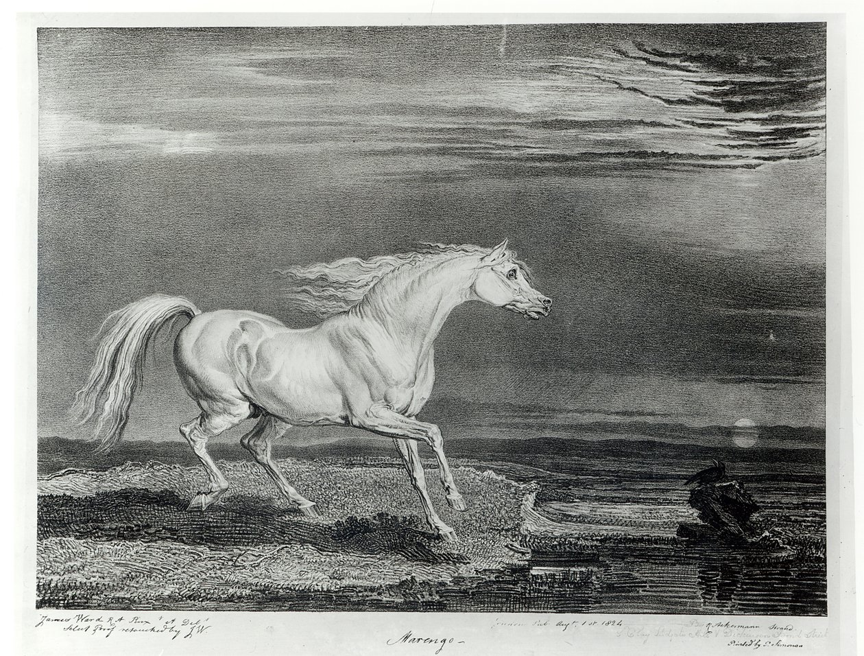 Marengo, ryté umělcem, hospoda. od R. Ackermanna, 1824 od James Ward