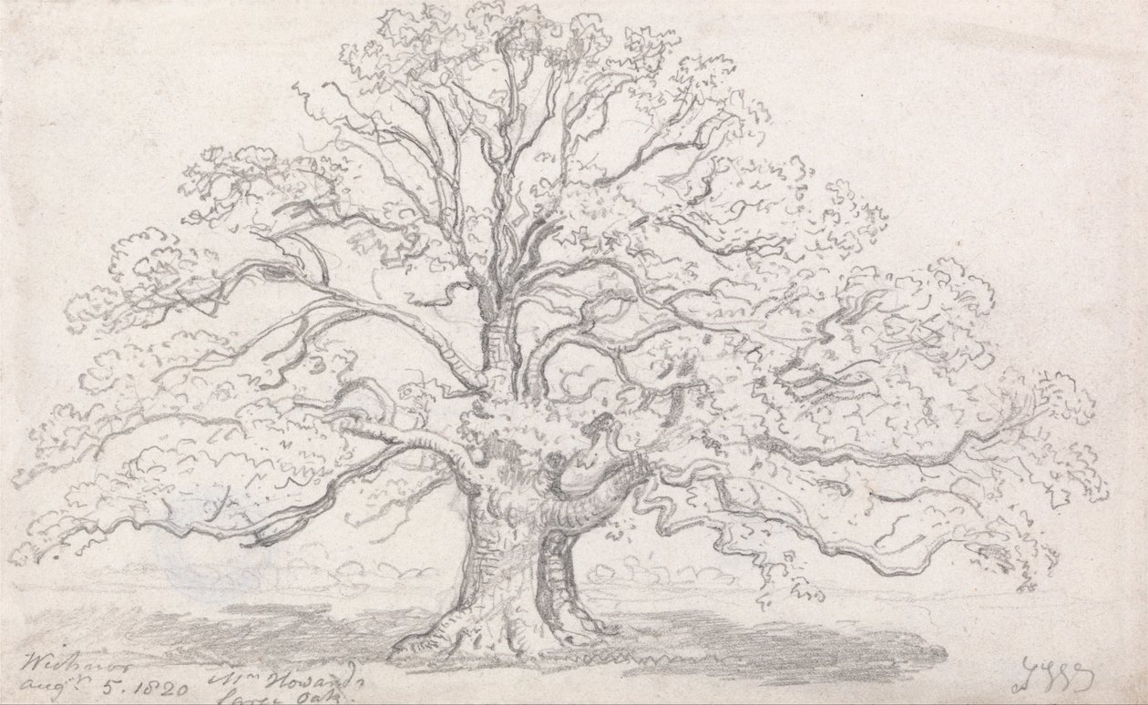 Pan Howards, velký dub, 5. srpna 1820 od James Ward