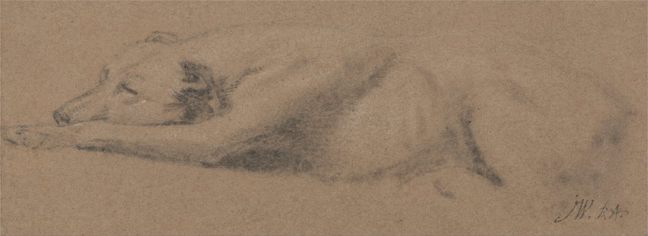Studie spícího psa od James Ward
