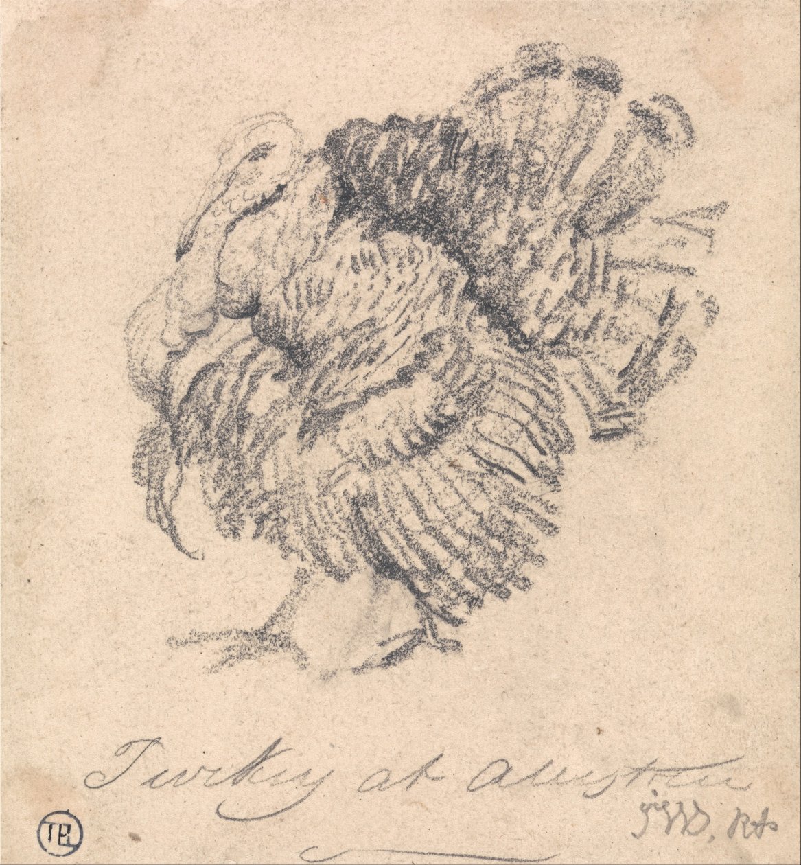 Studie Turecka od James Ward