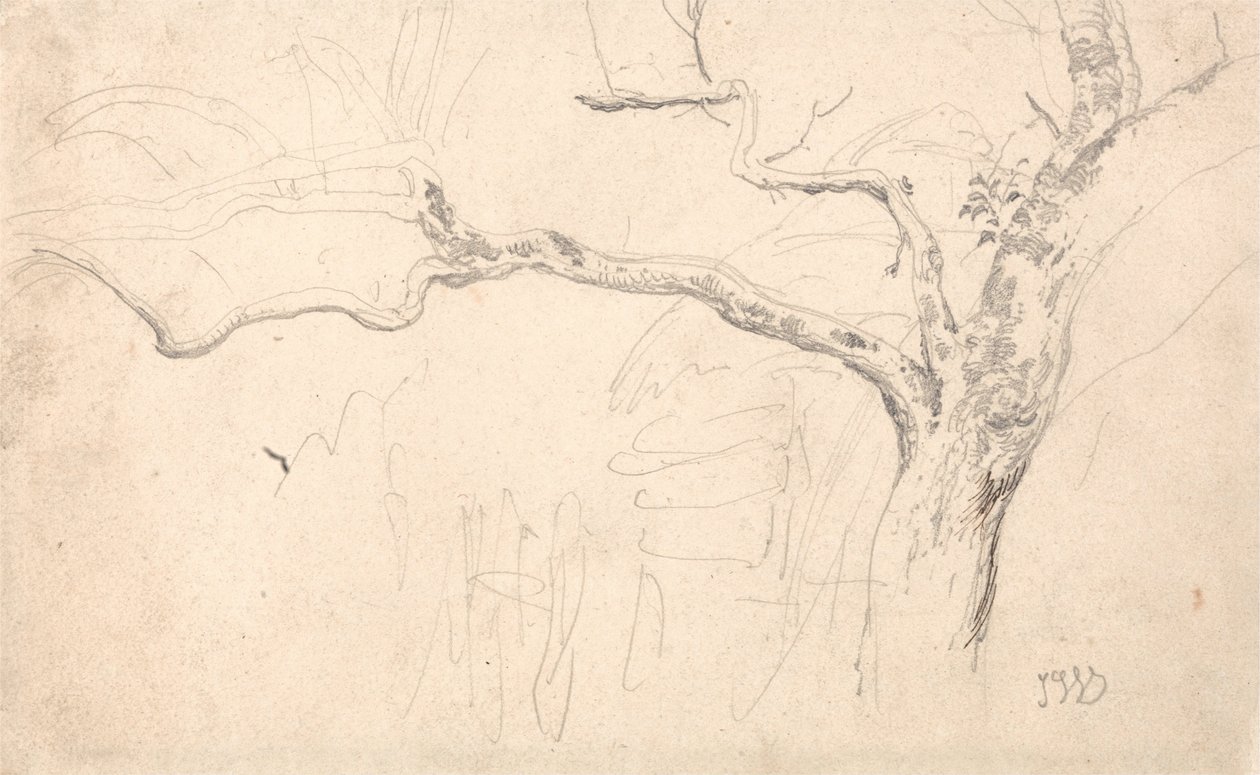 Studie stromu od James Ward
