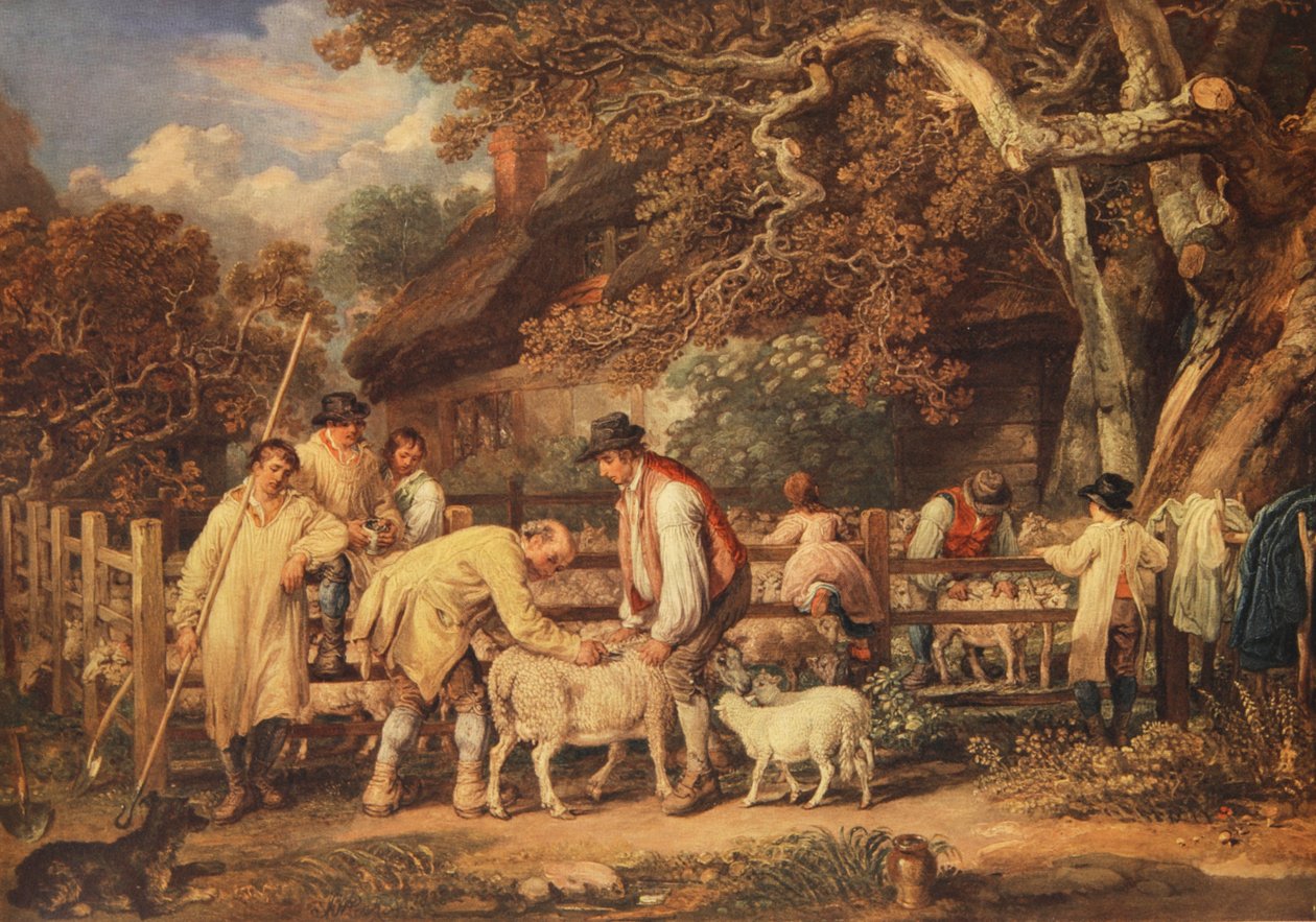 Stříhání ovcí, cca 1820 (barevné lito) od James (after) Ward