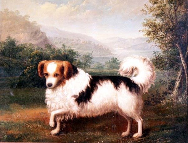 Phallene Papillon v krajině Vysočiny od James (attr. to) Barenger