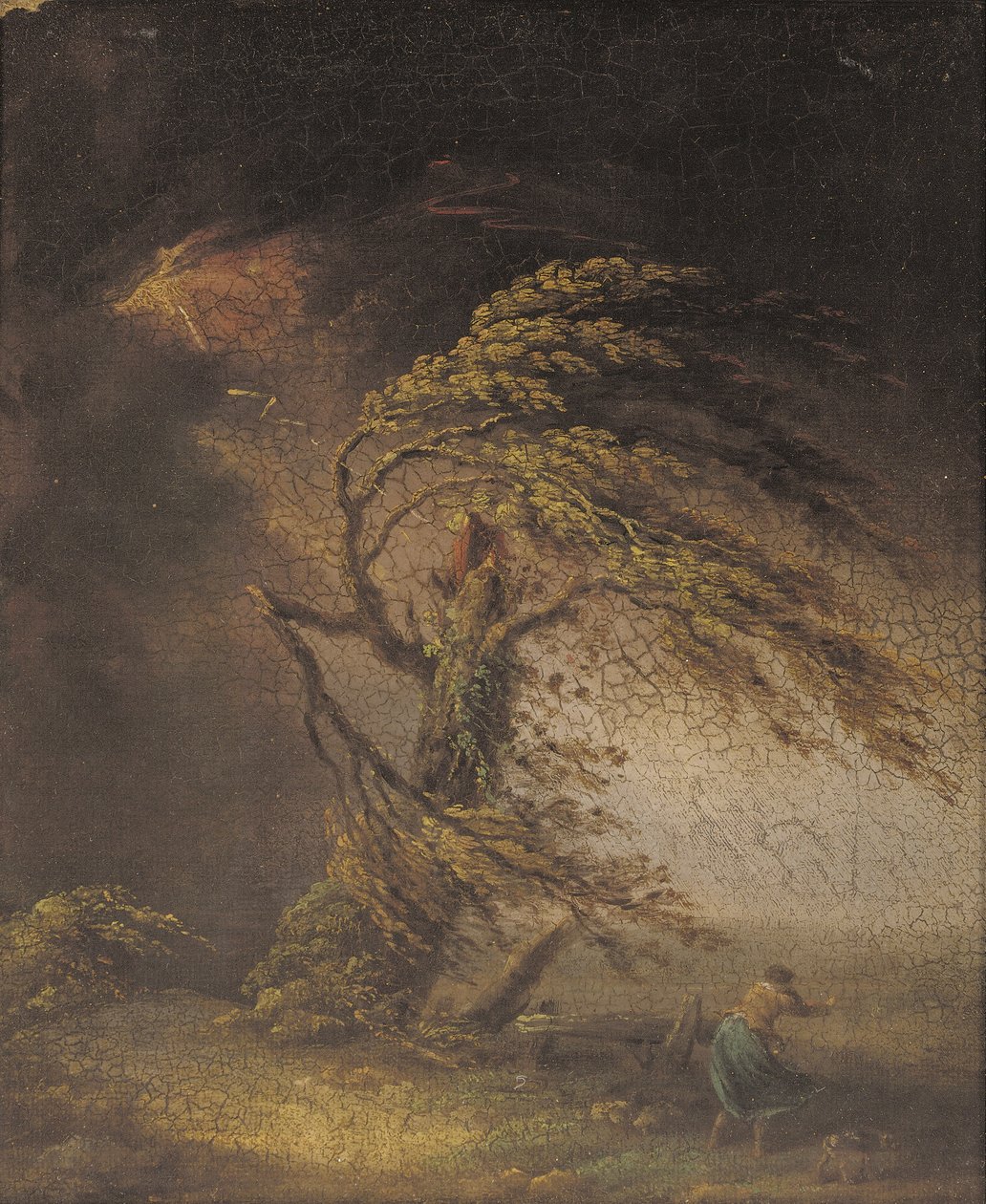 Strom zasažený bleskem (olej na plátně položený na palubě) od James (circle of) Ward