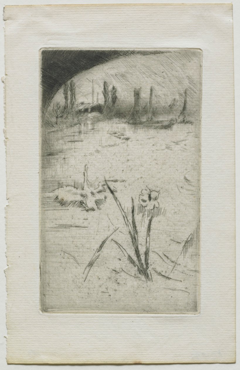 Swan a Iris, 1883. od James Abbott McNeill Whistler