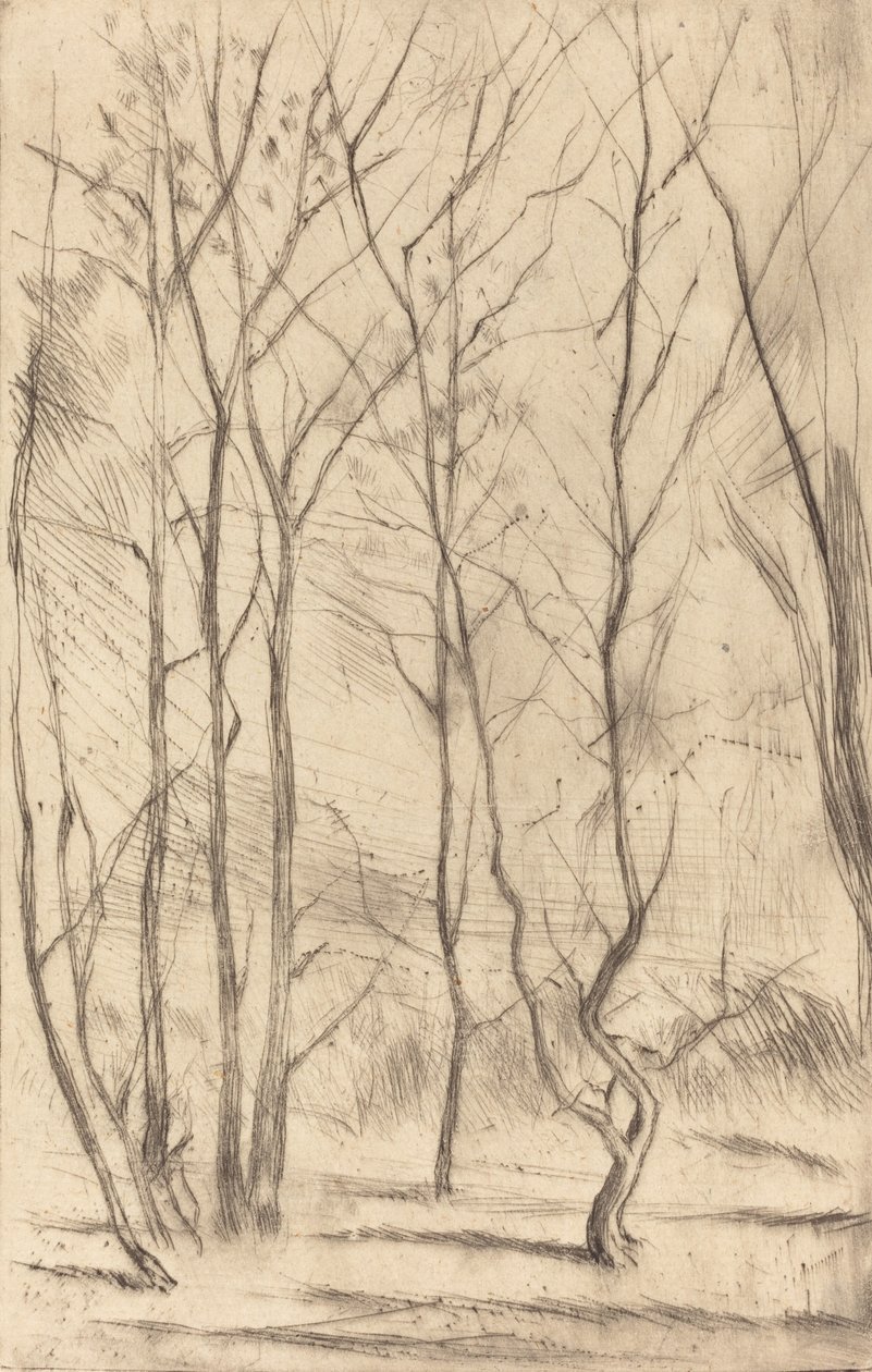 The Dam Wood, 1875. od James Abbott McNeill Whistler