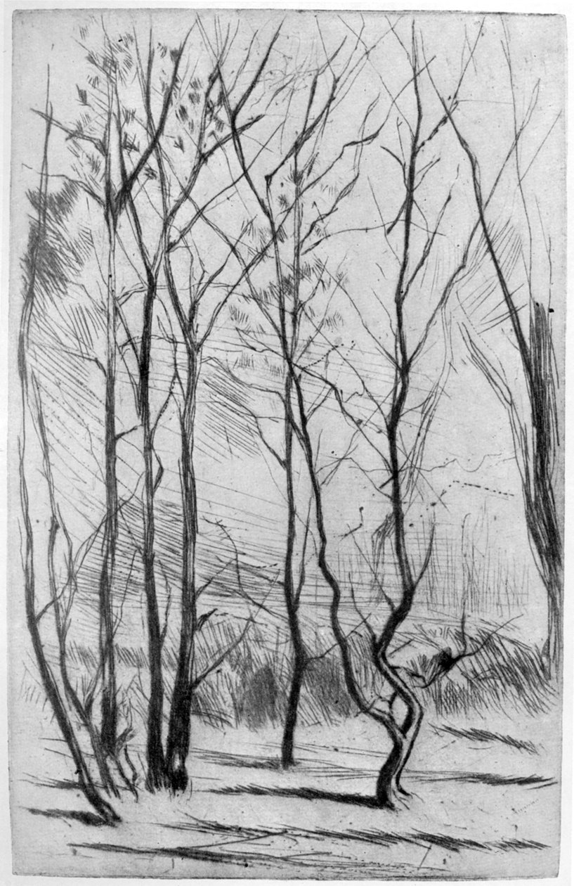 The Dam Wood, c1875 1904. od James Abbott McNeill Whistler