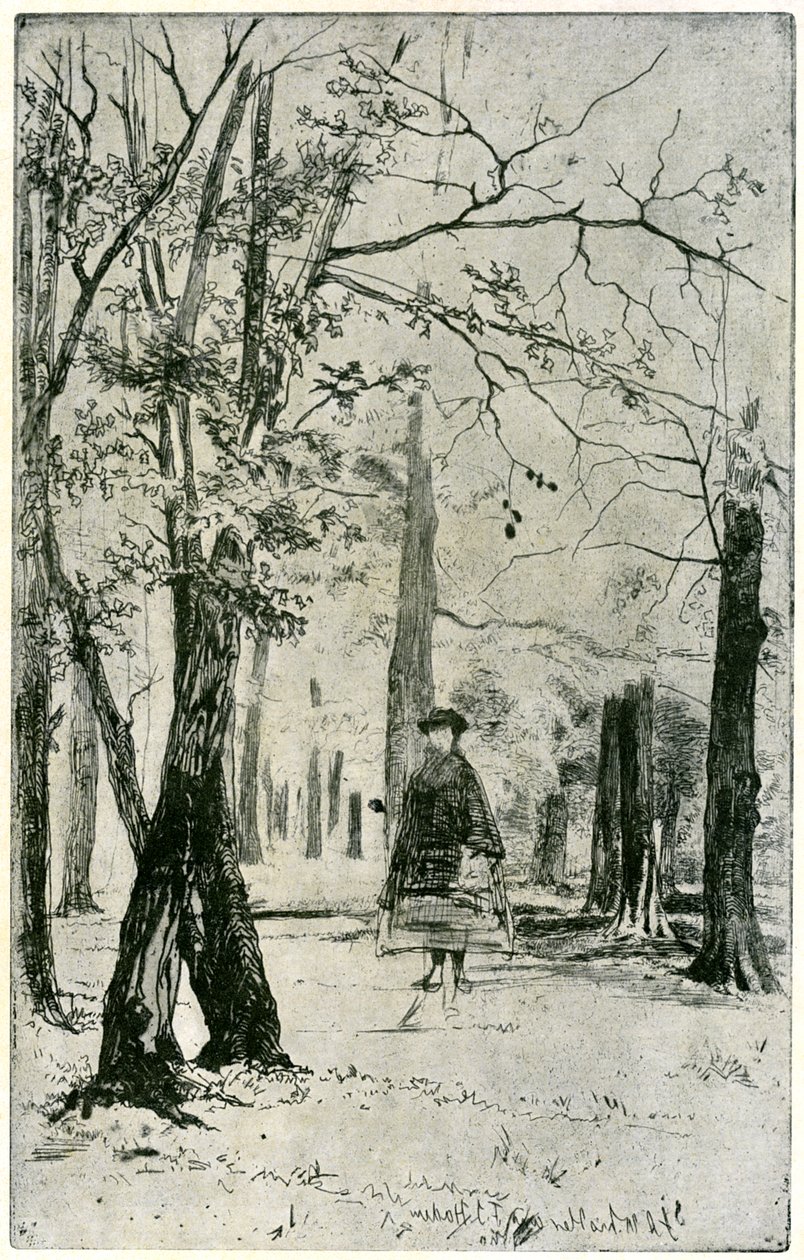 The Wood, 19. století 1904. od James Abbott McNeill Whistler
