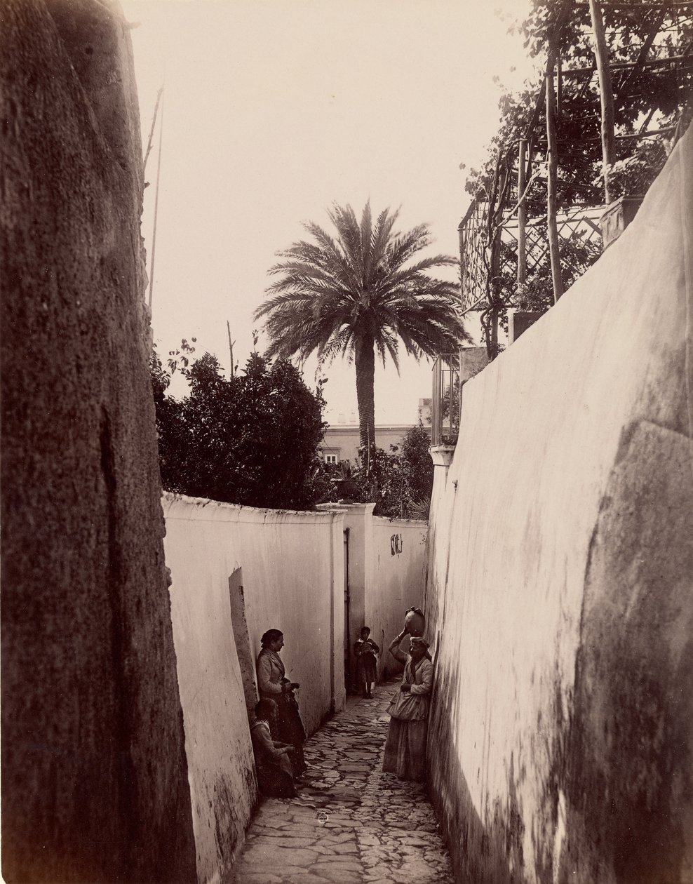 Capri od James Anderson