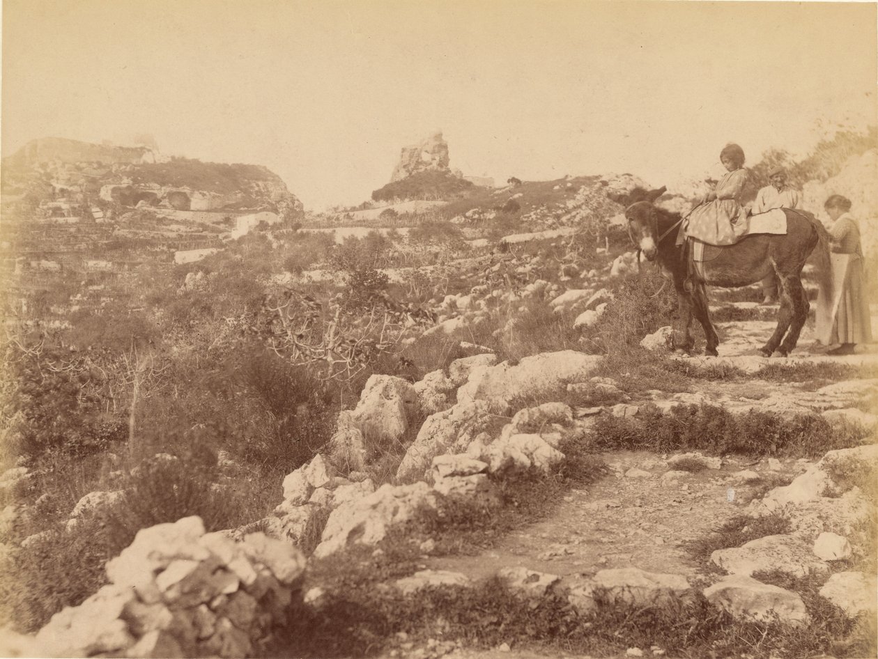 Capri [dítě na mule] od James Anderson