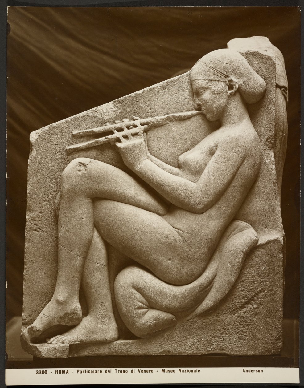 Detail, Venušin trůn, Národní muzeum od James Anderson