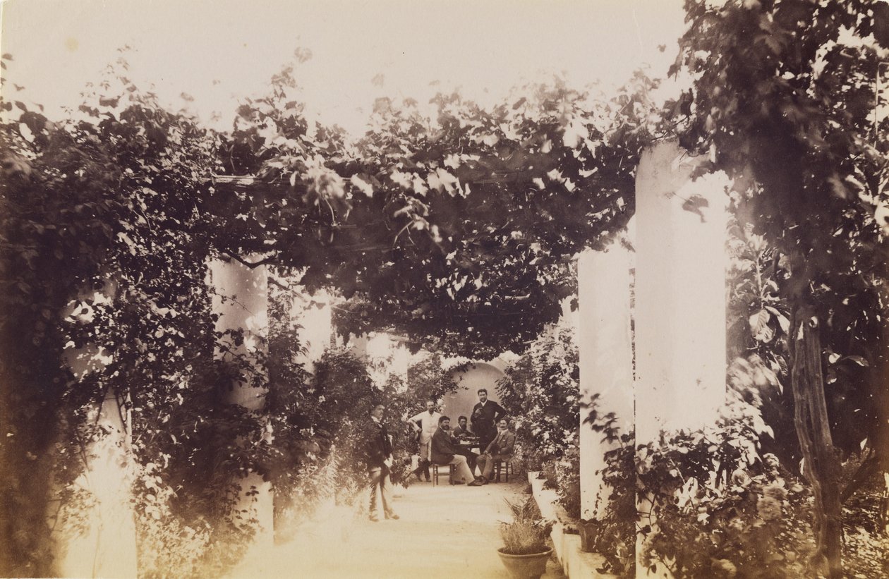 Zahrada - Capri od James Anderson