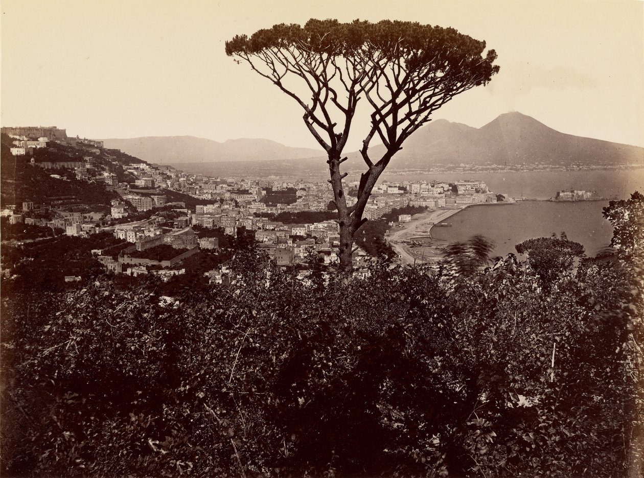 Panorama Neapole od James Anderson