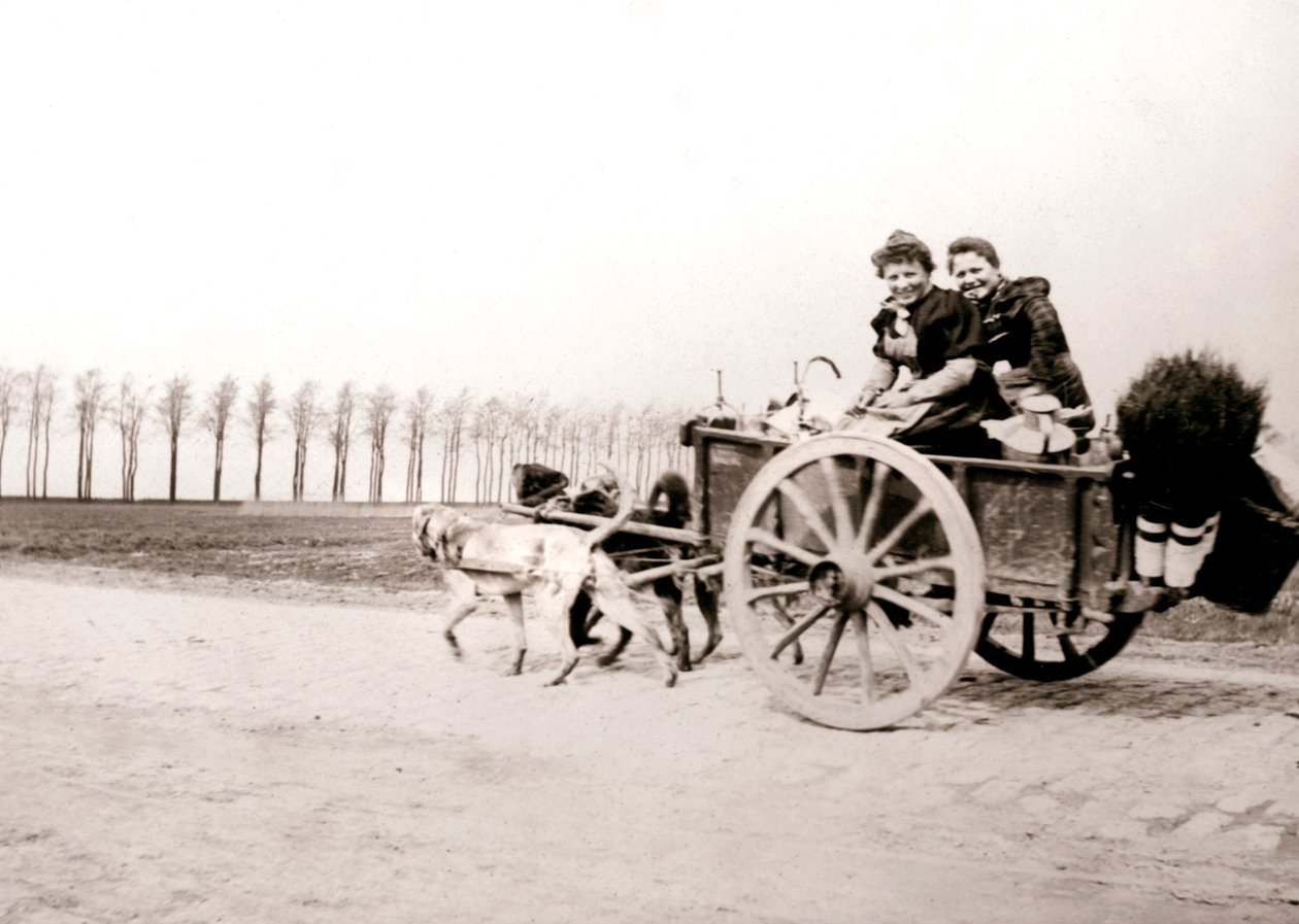 Psi táhnoucí ženy na voze, Antverpy, 1898. od James Batkin