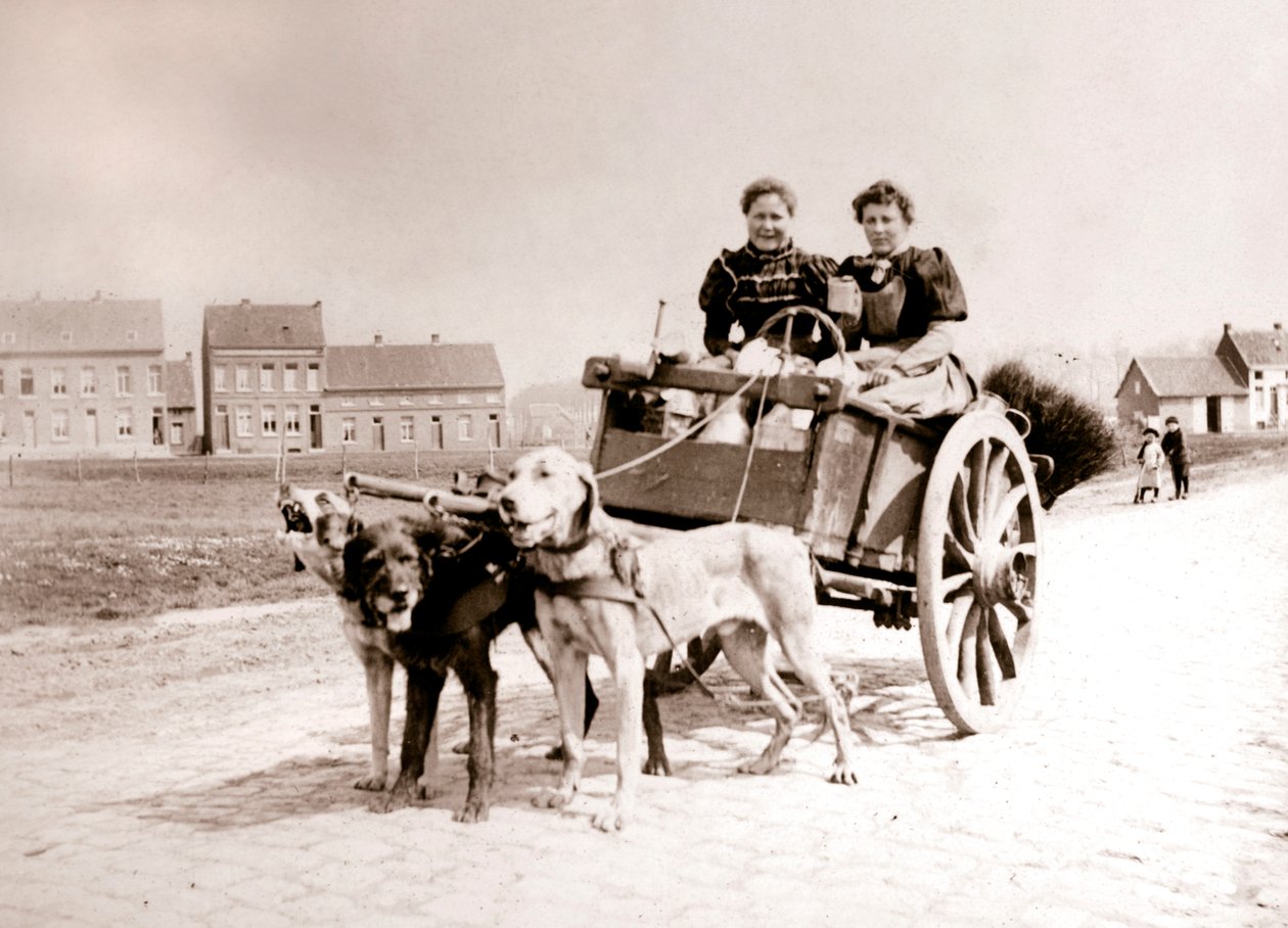 Psi táhnoucí ženy na voze, Antverpy, 1898. od James Batkin