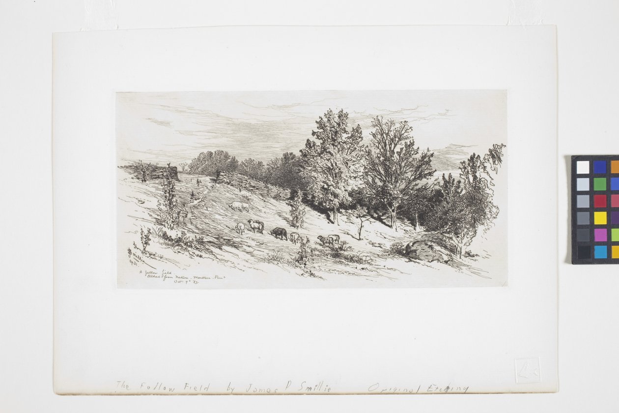 Pole úhoru (inkoust) od James David Smillie