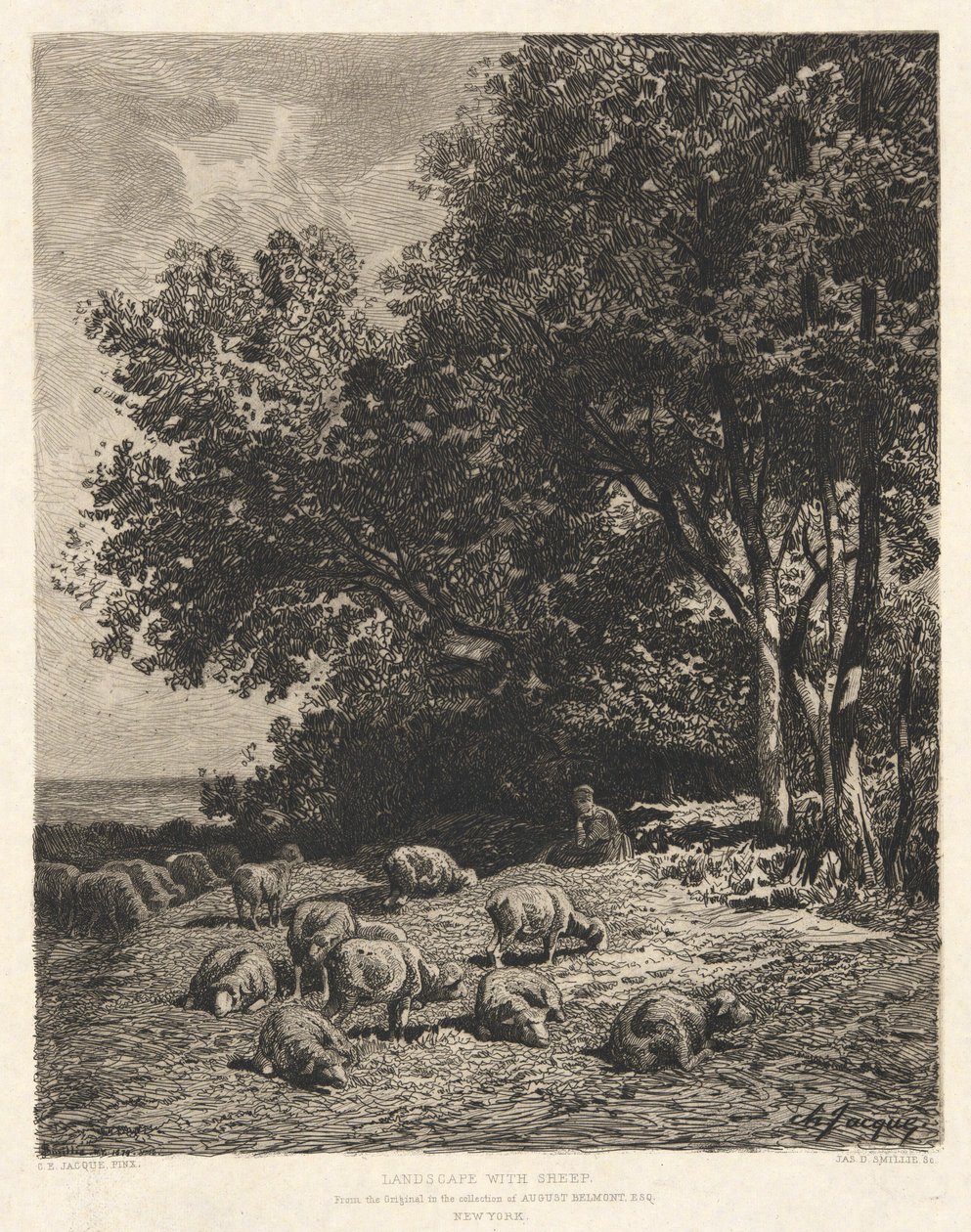 Krajina s ovcemi, po Ch-Jacque od James David Smillie