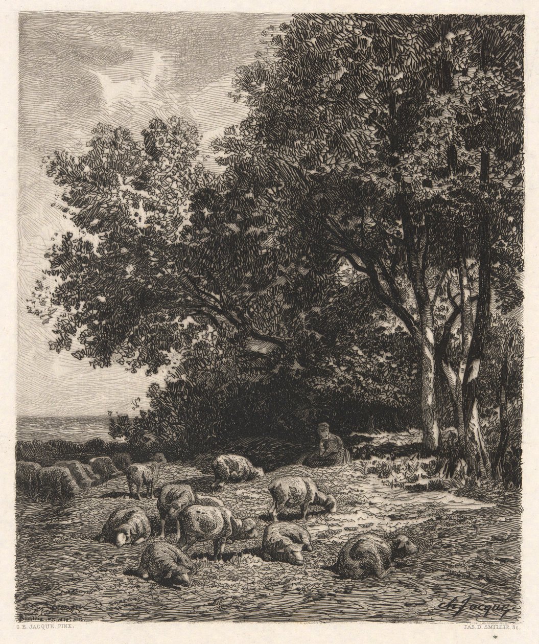 Pasení ovcí od James David Smillie