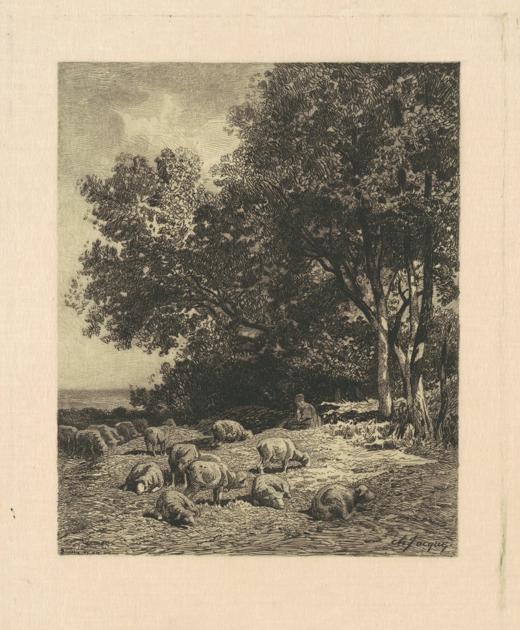 Krajina s ovcemi od James David Smillie, after Charles Émile Jacque