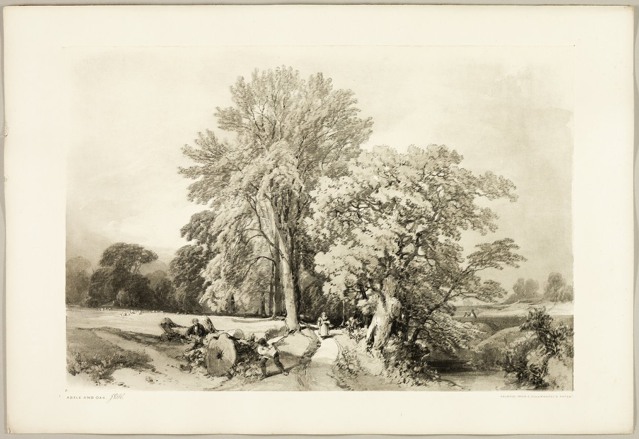 Abele a Oak, z parku a lesa od James Duffield Harding