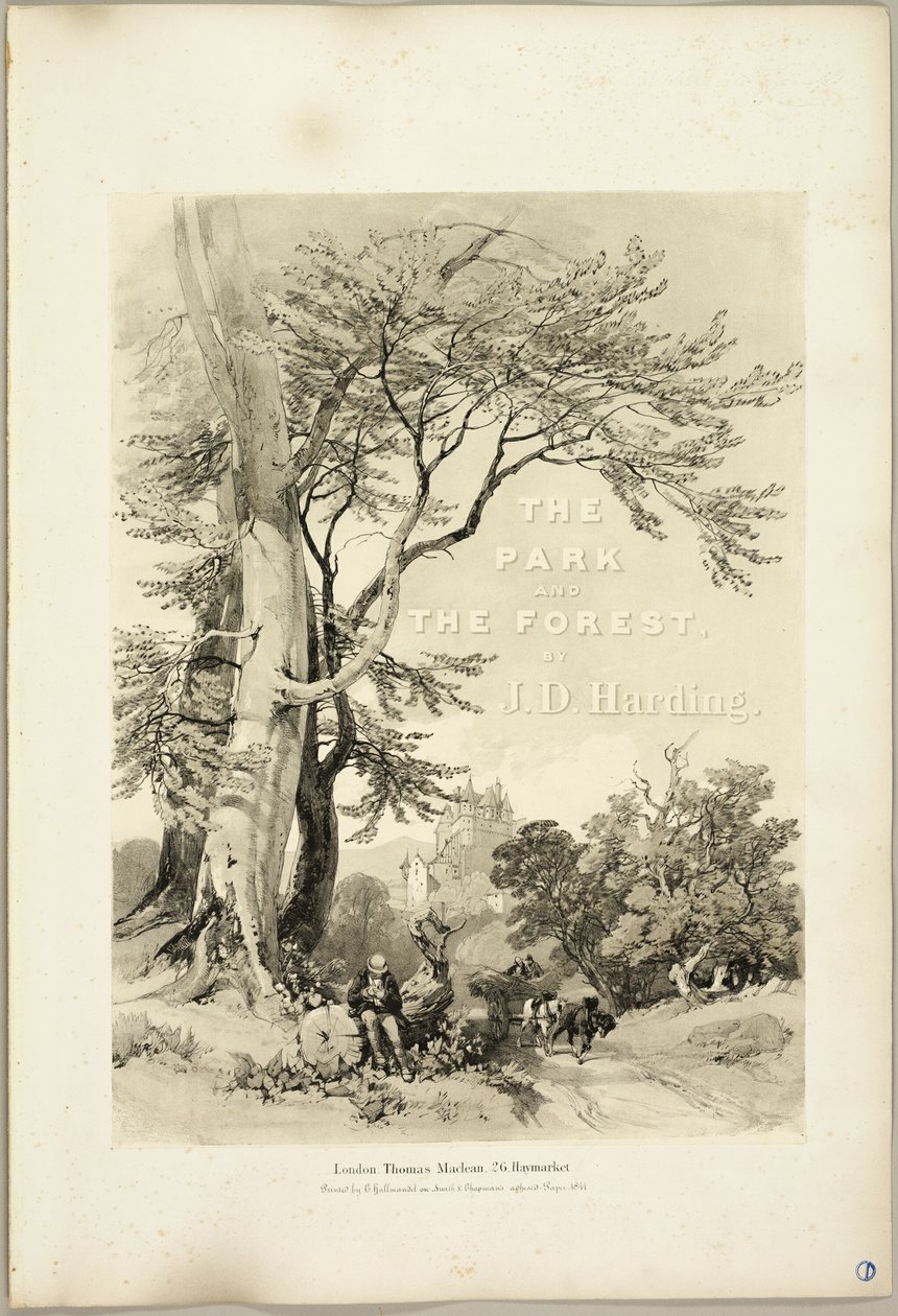Buk a dub (Frontispiece), z The Park and the Forest od James Duffield Harding
