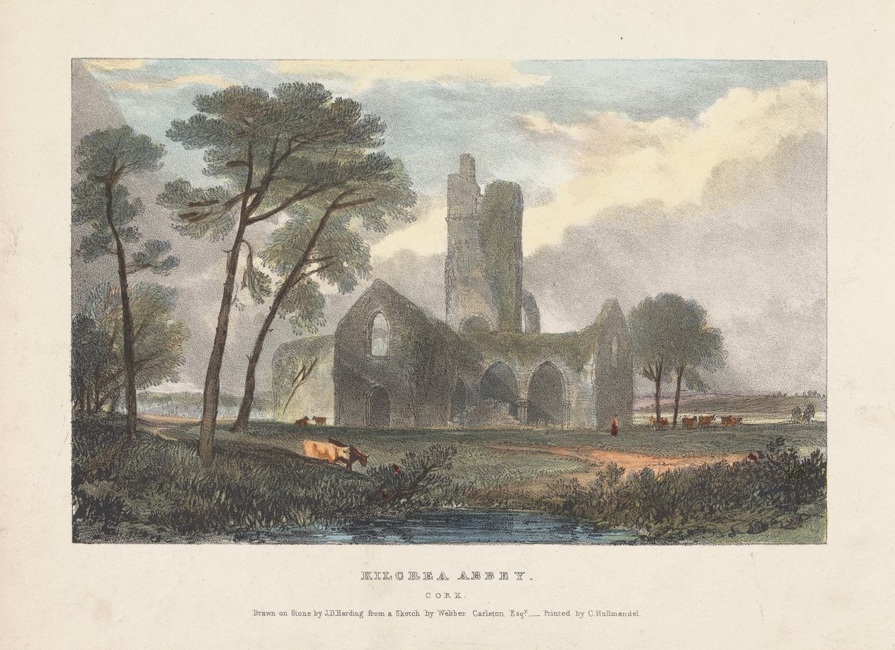 Kilcrea Abbey od James Duffield Harding