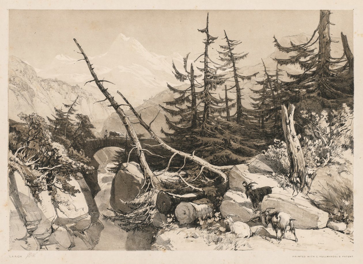 Borovice a most, 1841. od James Duffield Harding