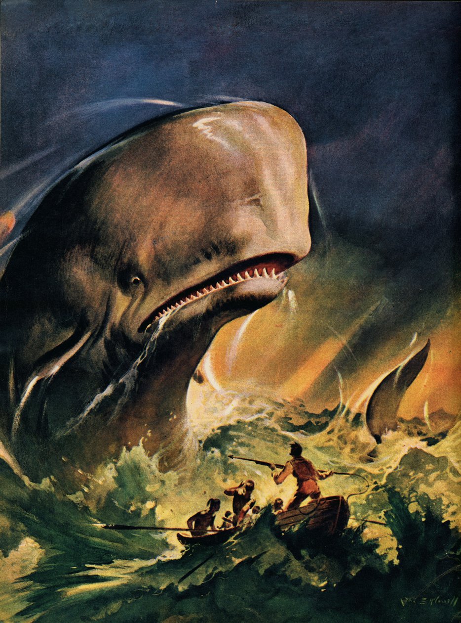 Moby Dick (barevná litografie) od James Edwin McConnell