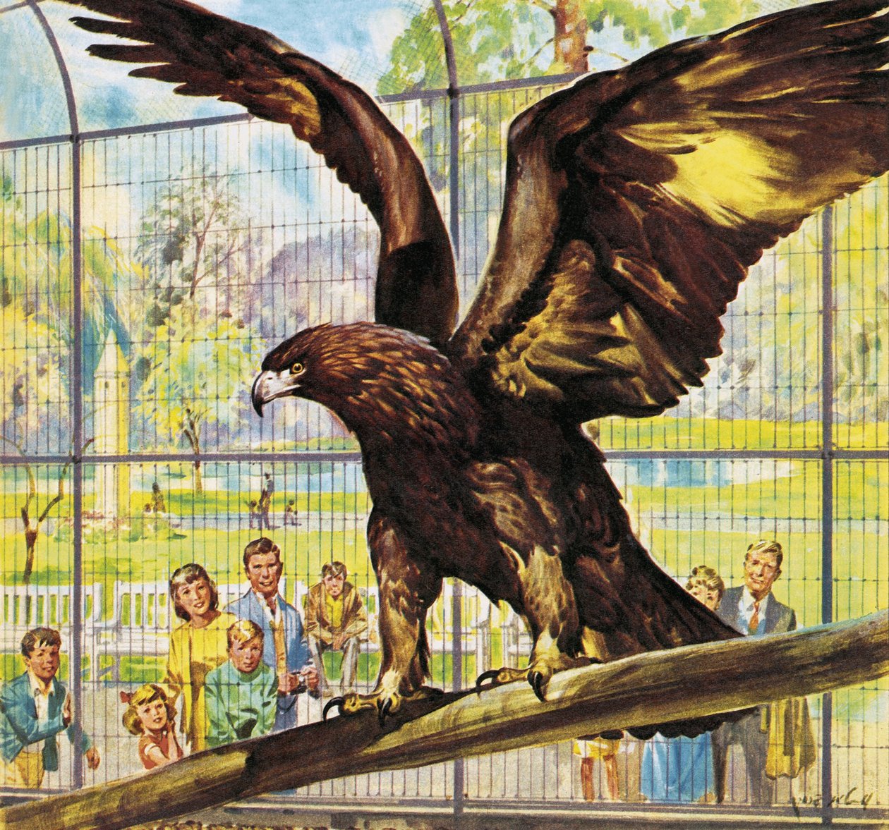 Kdo je kdo v zoo: Kdo je v zoo: Fly-Away Goldie od James Edwin McConnell