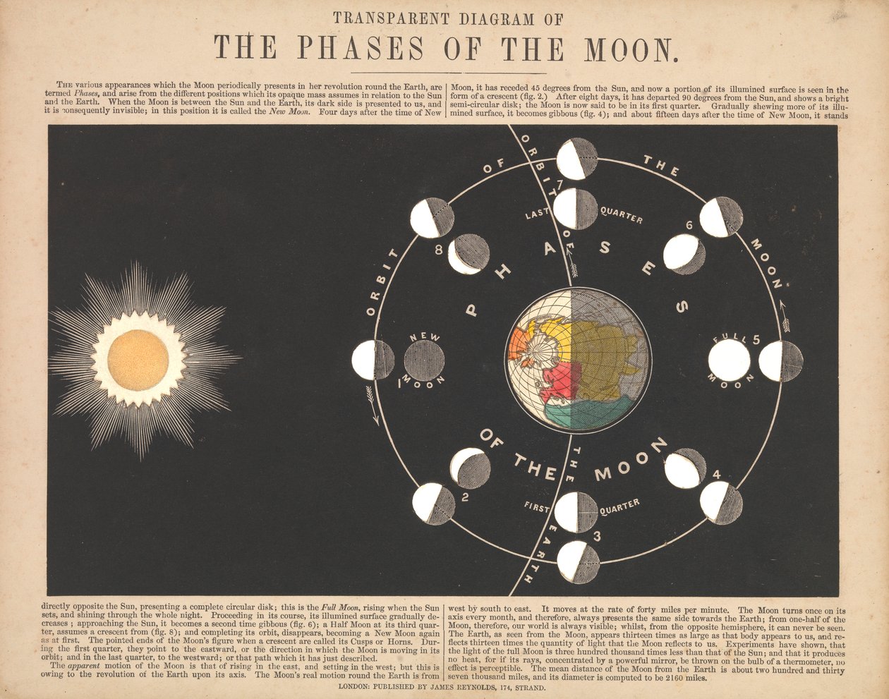 Přehledný diagram fází Měsíce od James & Emslie John (1813 75) Reynolds