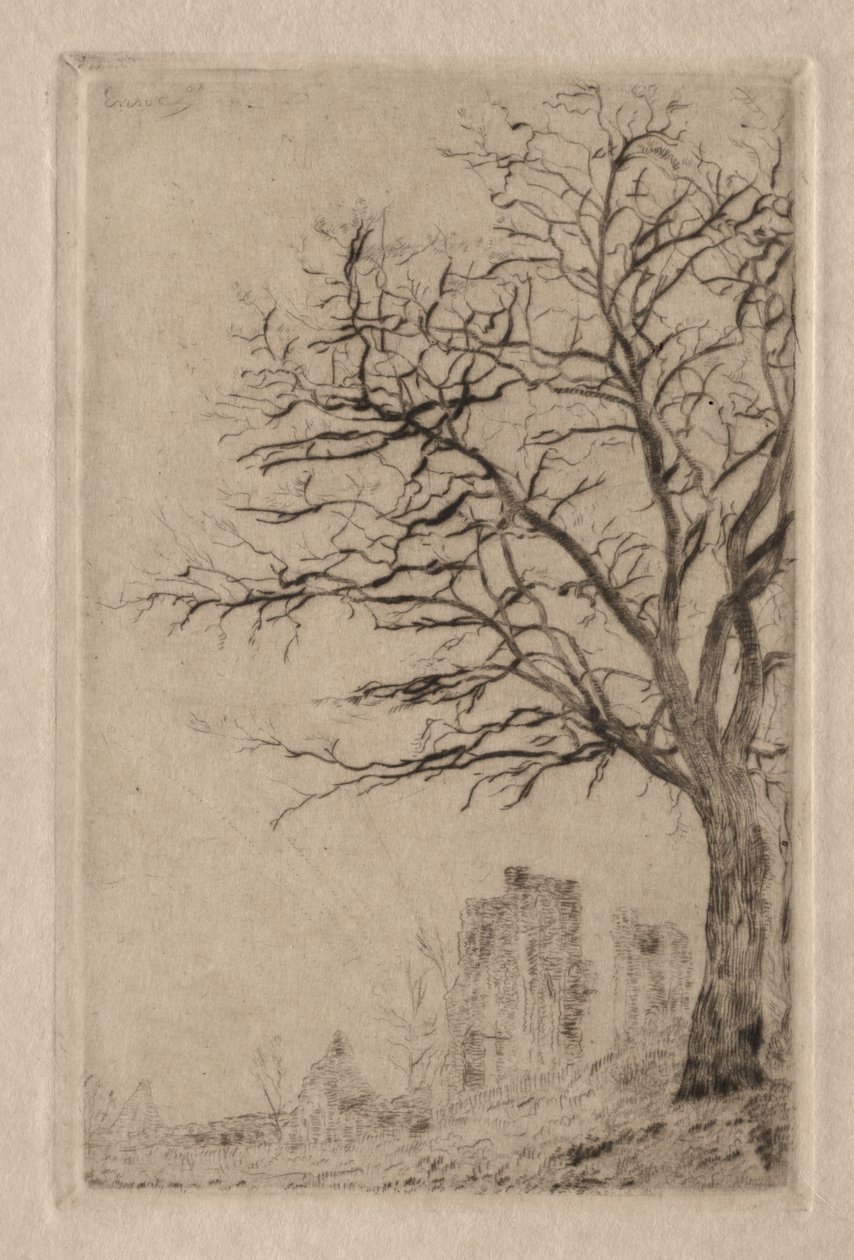 Akácie od James Ensor