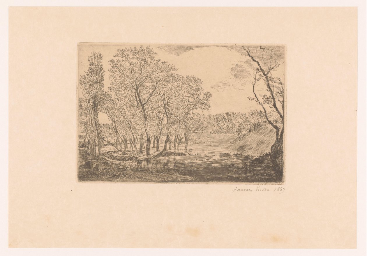 Krajina s topoly u vody La mare aux peupliers od James Ensor