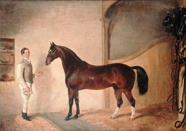 Ženich s Hunterem na Tredegar Estate, Monmouthshire od James Flewitt Mullock