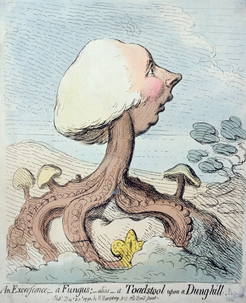 Výrůstek; houba; Alias - Muchomůrka na kopci hnoje, publikovala Hannah Humphrey v roce 1791 (lept s wc) od James Gillray