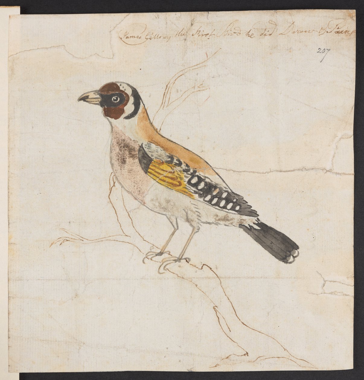 Ptačí hnízdění, c. 1757-1815 (akvarel a inkoust) od James Gillray