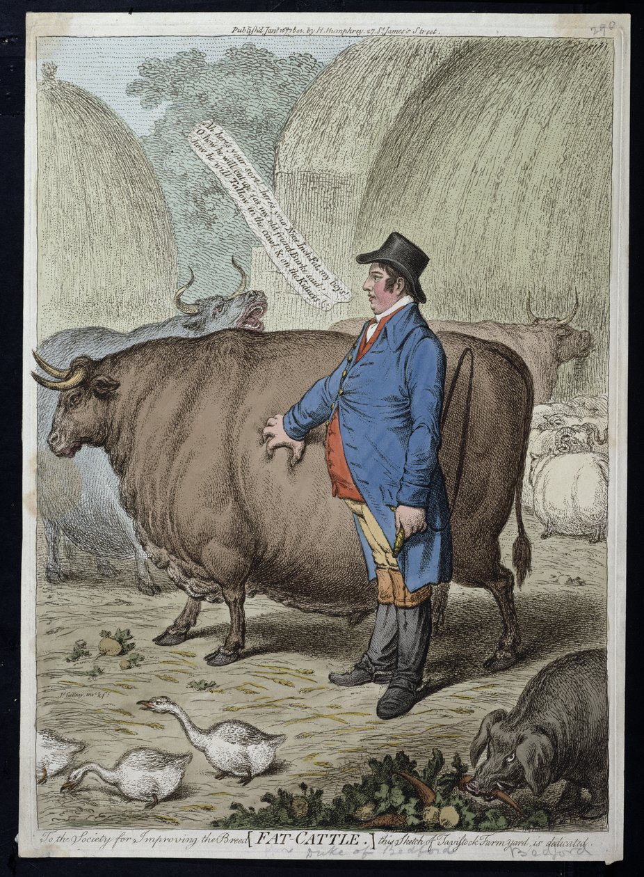Fat Cattle, publikoval Hannah Humphrey v roce 1802 (ručně kolorovaný lept) od James Gillray