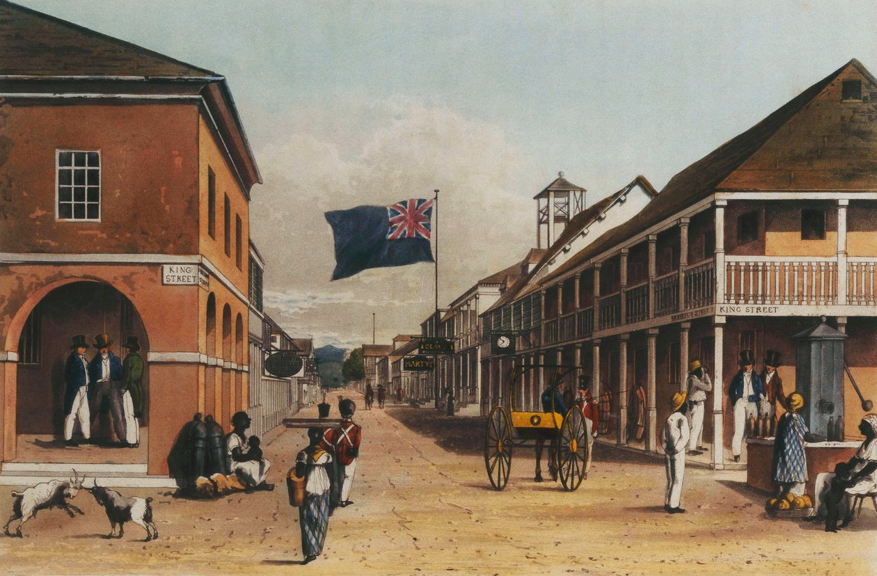 Malebná prohlídka ostrova Jamajka, z kreseb vytvořených v letech 1820 a 1821, 1820-21 od James Hakewill