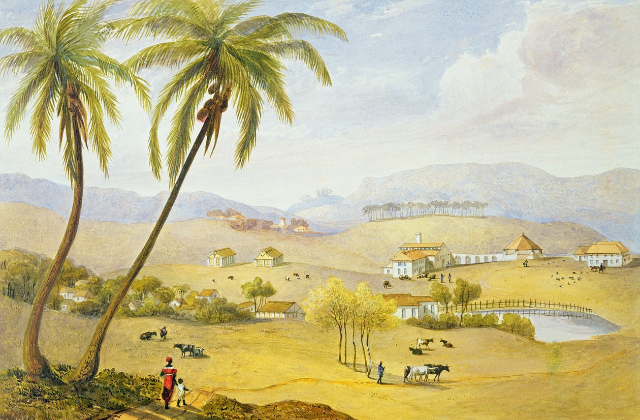 Haughton Court, Hanover, Jamajka, cca 1820 od James Hakewill