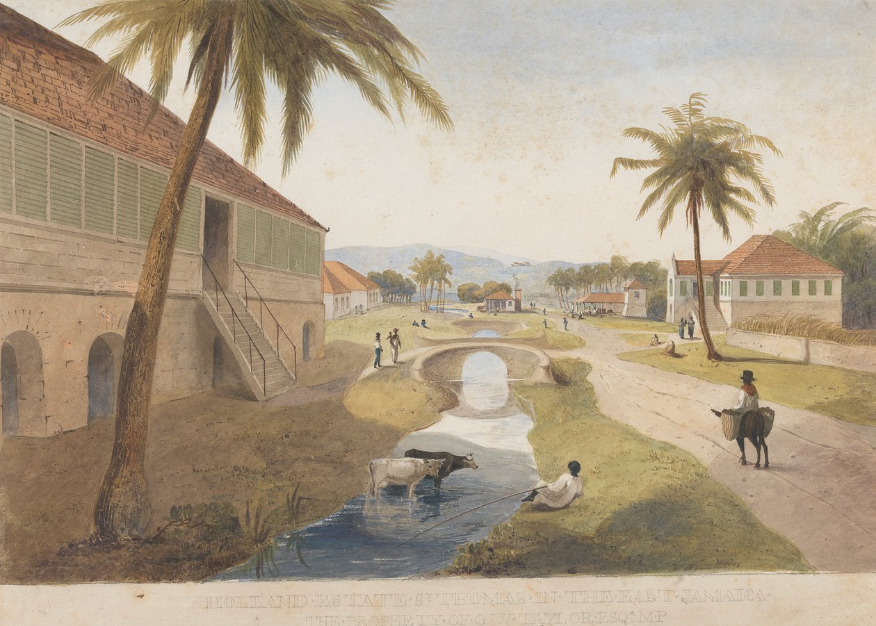 Holland Estate, St. Thomas in the East, Jamajka [Jeden z ] od James Hakewill