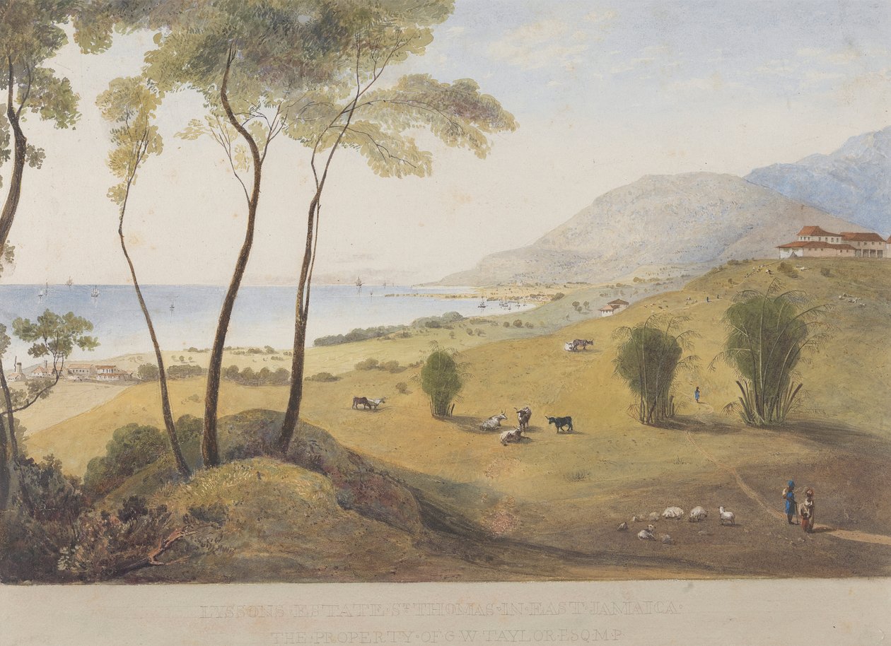 Lyssons Estate, St. Thomas na východě, Jamajka od James Hakewill