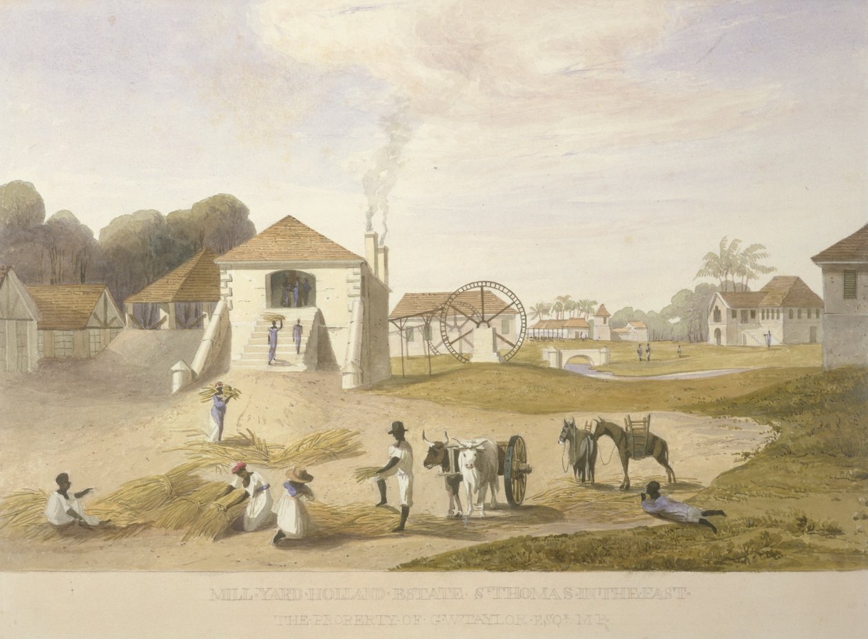 Mill Yard, Holland Estate, St. Thomas na východě od James Hakewill