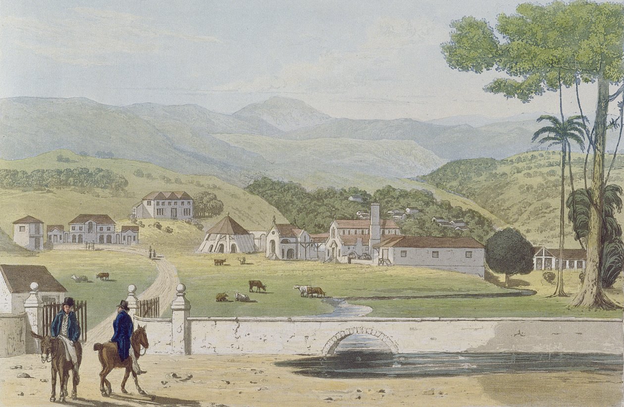 Montpelier Estates, St James, z 